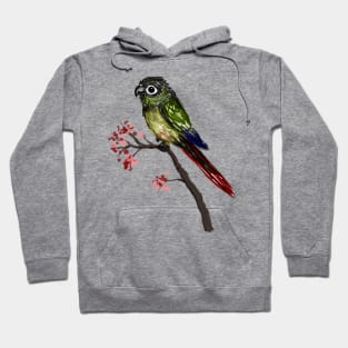 Cute green cheeked conure Hoodie